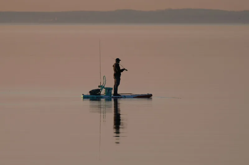 Blue Mind, Clear Head: What Happens to Your Brain When You Get in the Water